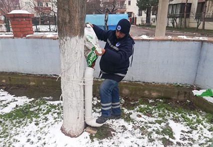 BİGA BELEDİYESİ SOKAK HAYVANLARINI UNUTMADI